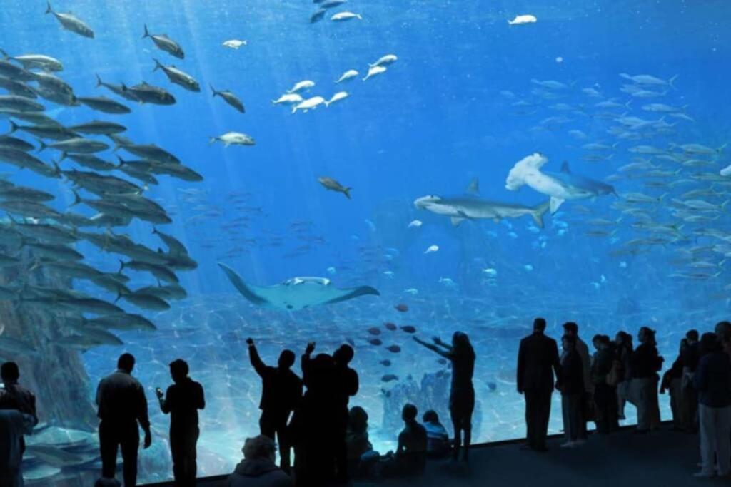 LA PERLE MARINE :Boulogne sur mer Eksteriør bilde